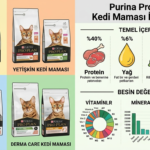 Pro Plan kedi maması içerik analizi ve kuru mama tanecikleri yakın çekim