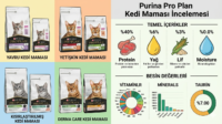 Pro Plan kedi maması içerik analizi ve kuru mama tanecikleri yakın çekim