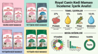 Royal Canin kedi maması paketleri ve içerik analizi, 2026 fiyat karşılaştırmas